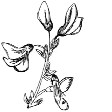 //cz.davines.com/cdn/shop/t/8/assets/davines-line-finest-pigment-deco-1.jpg?v=31471944834081645081612197484