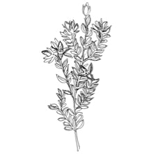 //cz.davines.com/cdn/shop/t/8/assets/davines-line-finest-pigment-deco-4.jpg?v=26652696539408005481612197476