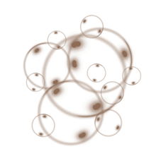 //cz.davines.com/cdn/shop/t/8/assets/davines-line-liquid-spell-deco-3.png?v=46280387748838644991612197469