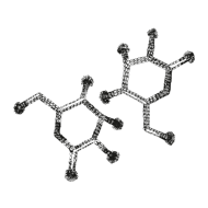 //cz.davines.com/cdn/shop/t/8/assets/davines-line-naturaltech-deco-3.png?v=48525519344944069281612197474