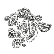 //cz.davines.com/cdn/shop/t/8/assets/davines-line-naturaltech-deco-4.png?v=171189248533084119171612197480