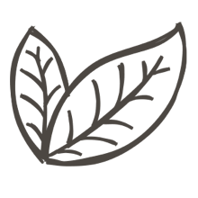 //cz.davines.com/cdn/shop/t/8/assets/davines-line-single-shampoo-deco-1.png?v=183516140813493506251612197465
