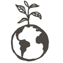 //cz.davines.com/cdn/shop/t/8/assets/davines-line-single-shampoo-deco-2.png?v=137127386204860403571612197490