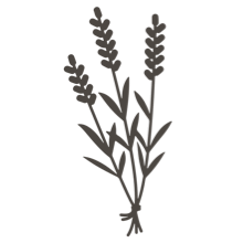 //cz.davines.com/cdn/shop/t/8/assets/davines-line-single-shampoo-deco-4.png?v=10996012474181549121612197478