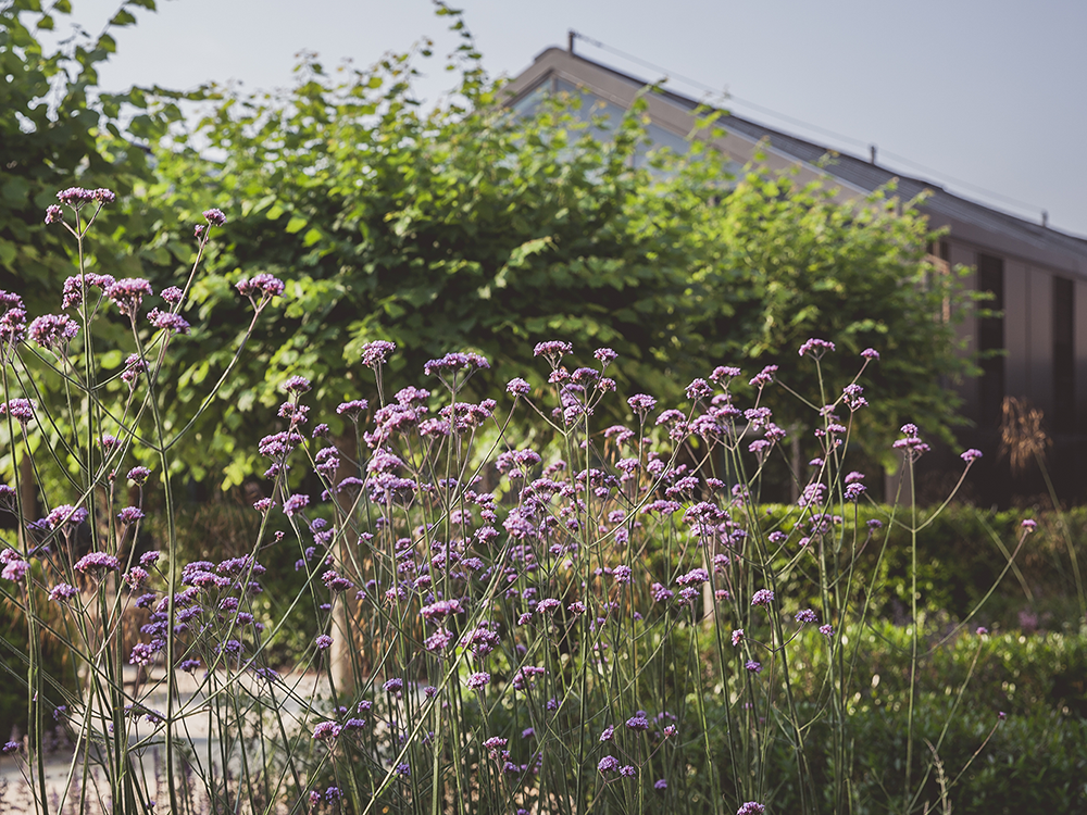 Davines se stává Benefit Corporation!